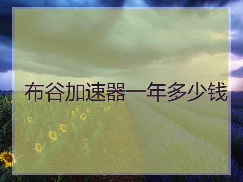 布谷加速器一年多少钱