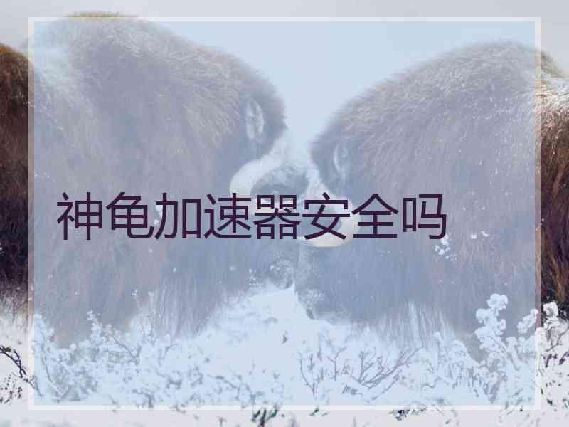 神龟加速器安全吗