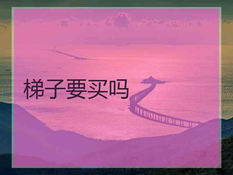 梯子要买吗