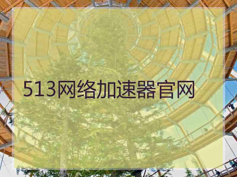 513网络加速器官网