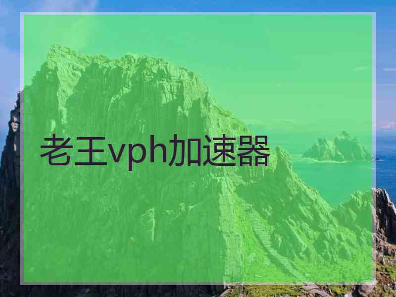 老王vph加速器