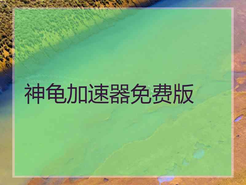 神龟加速器免费版