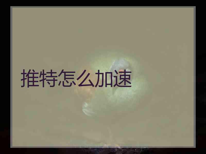 推特怎么加速