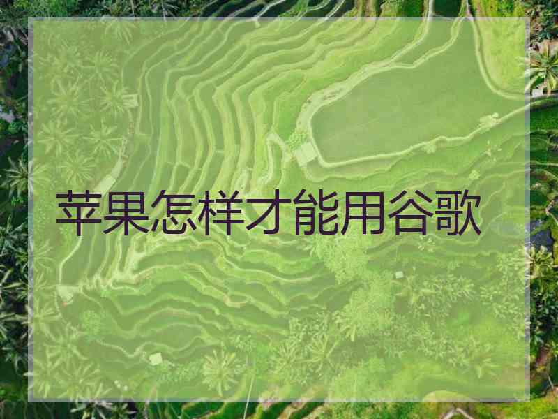 苹果怎样才能用谷歌