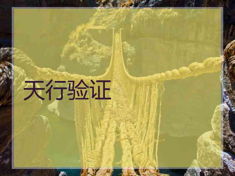 天行验证