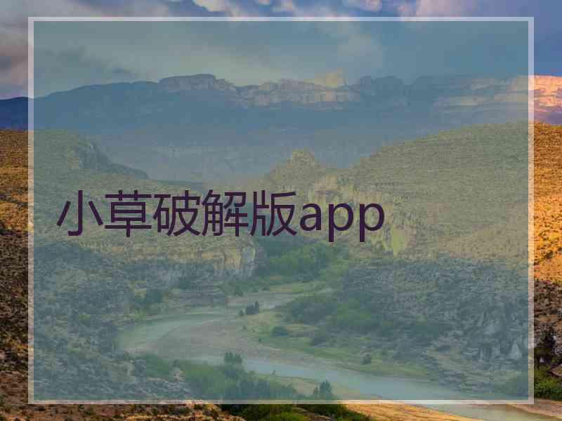小草破解版app