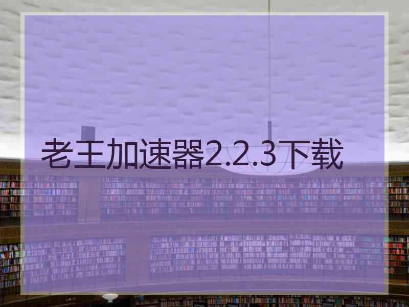 老王加速器2.2.3下载