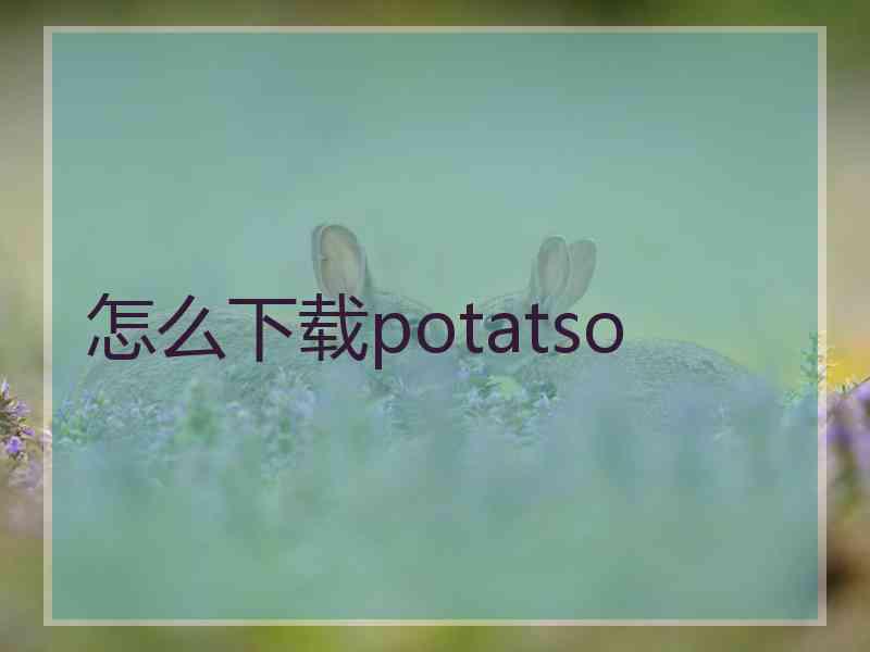 怎么下载potatso