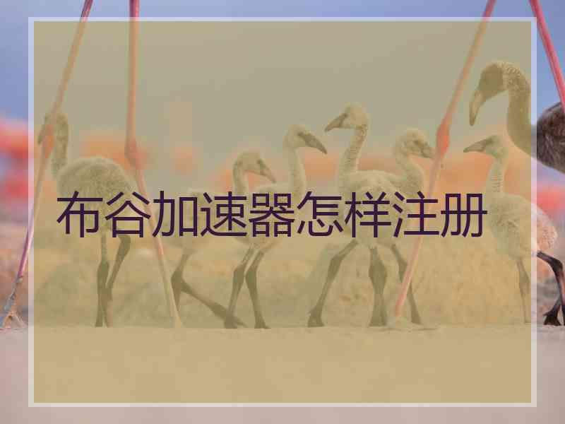 布谷加速器怎样注册