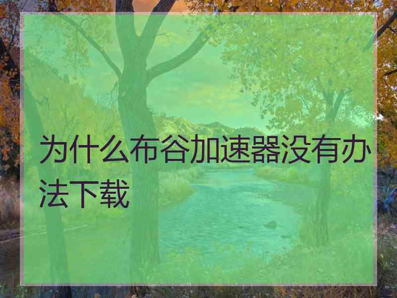 为什么布谷加速器没有办法下载