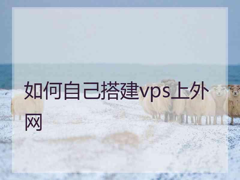 如何自己搭建vps上外网