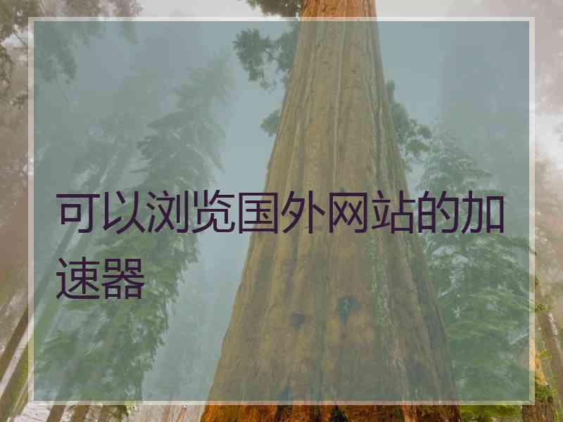 可以浏览国外网站的加速器
