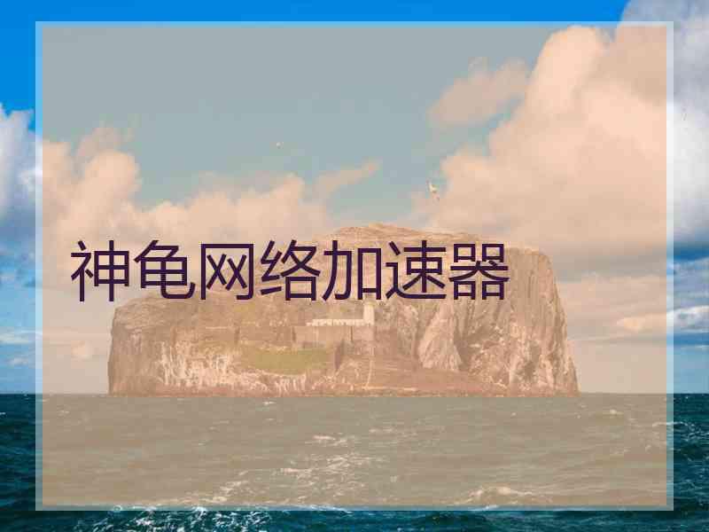 神龟网络加速器