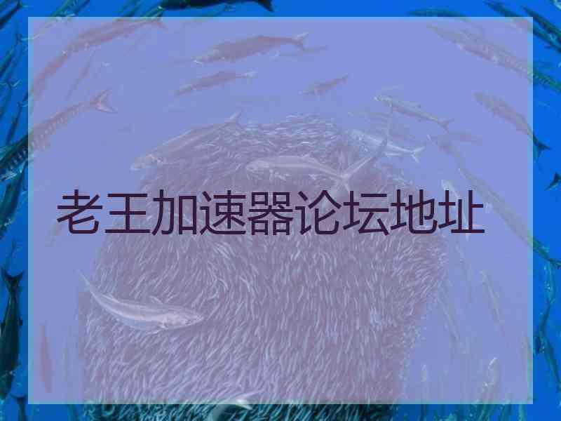 老王加速器论坛地址