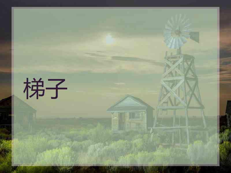 梯子