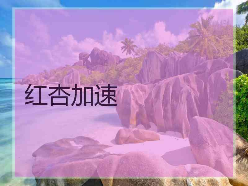 红杏加速