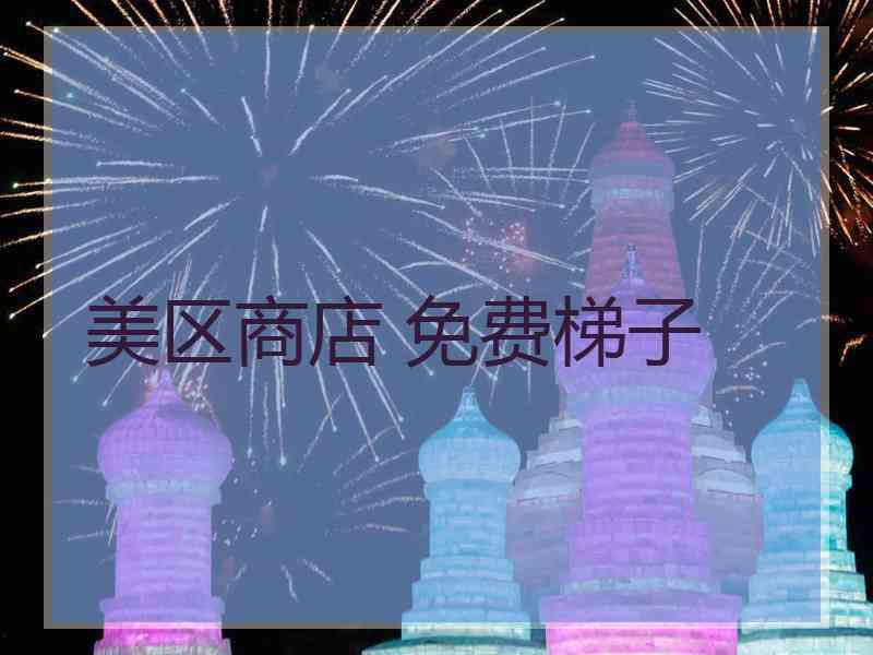 美区商店 免费梯子