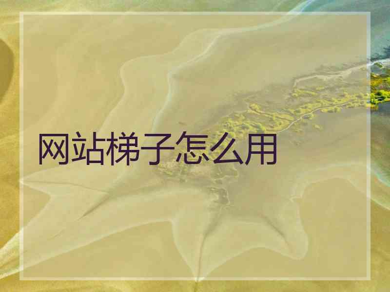 网站梯子怎么用