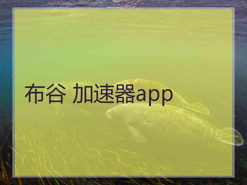 布谷 加速器app