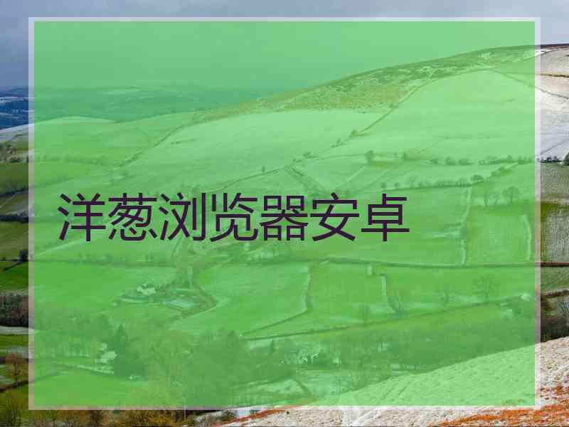 洋葱浏览器安卓