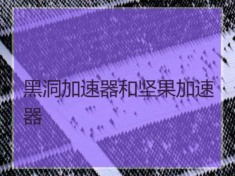 黑洞加速器和坚果加速器