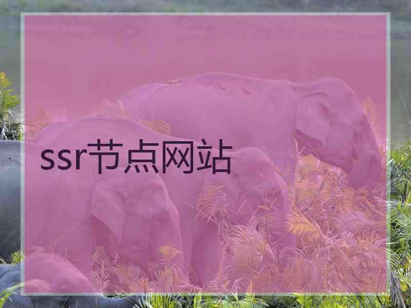 ssr节点网站
