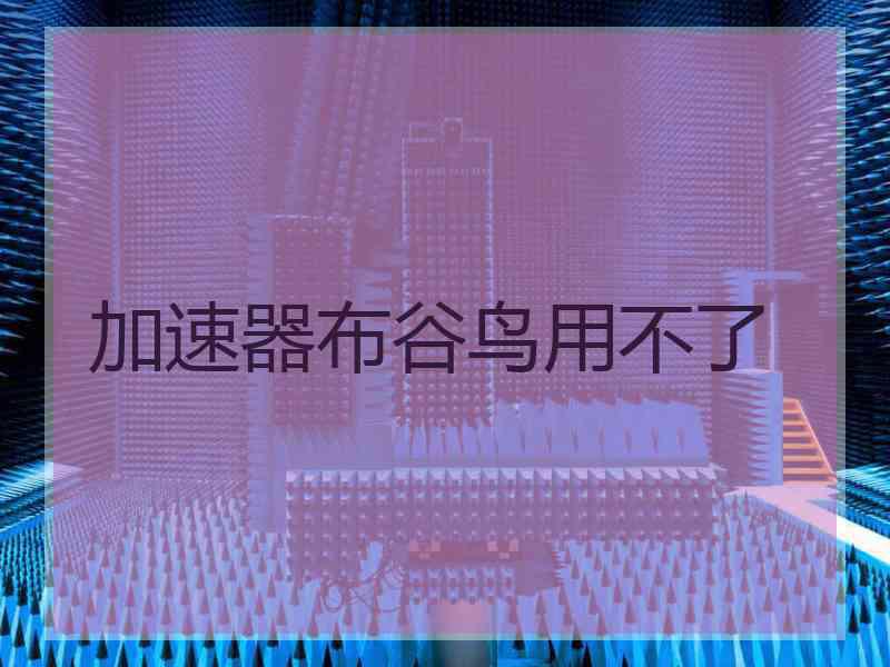 加速器布谷鸟用不了