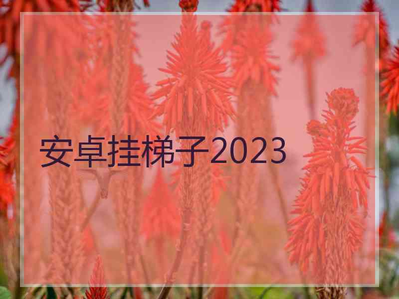 安卓挂梯子2023