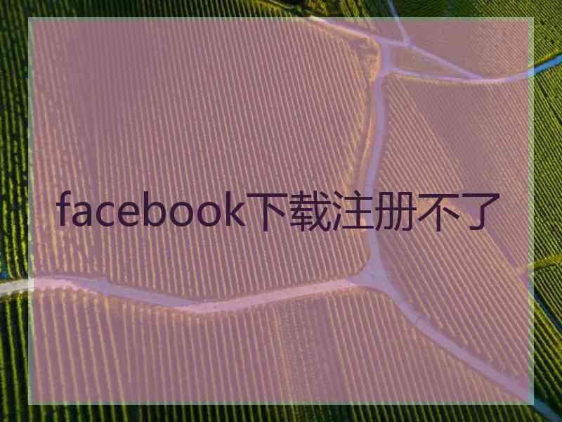facebook下载注册不了