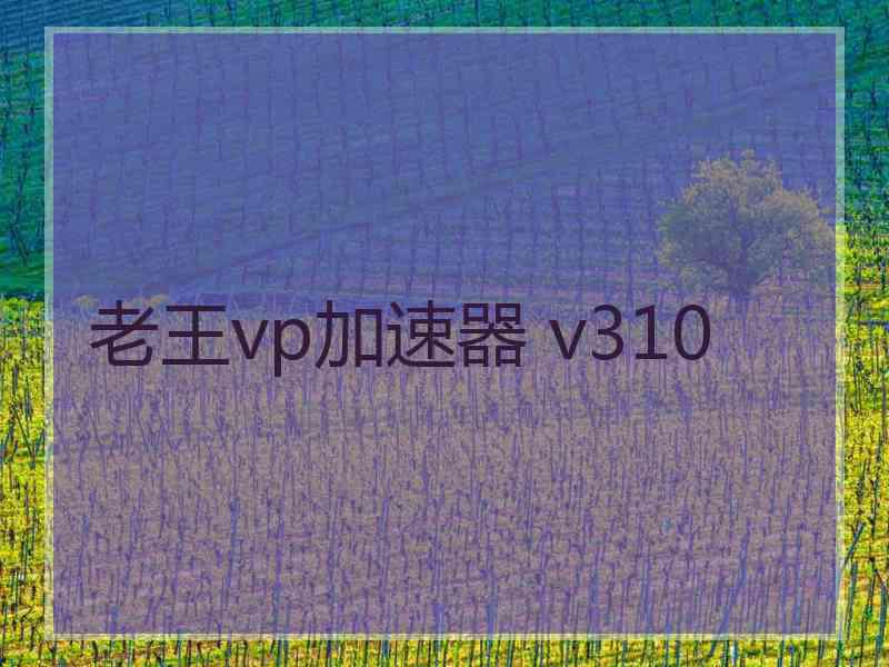 老王vp加速器 v310