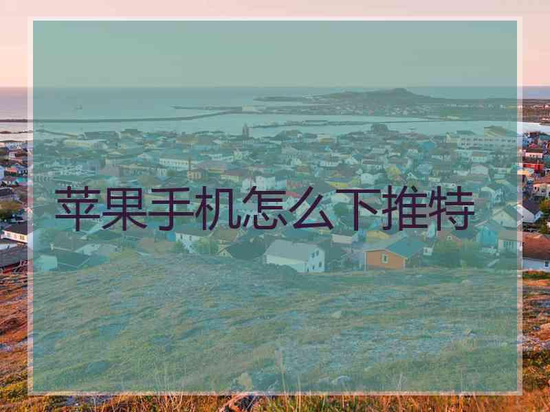苹果手机怎么下推特
