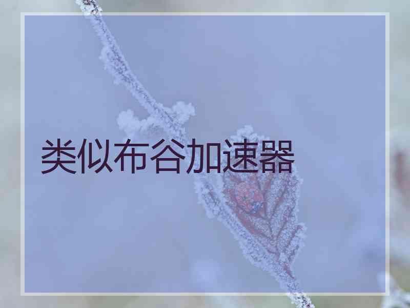 类似布谷加速器