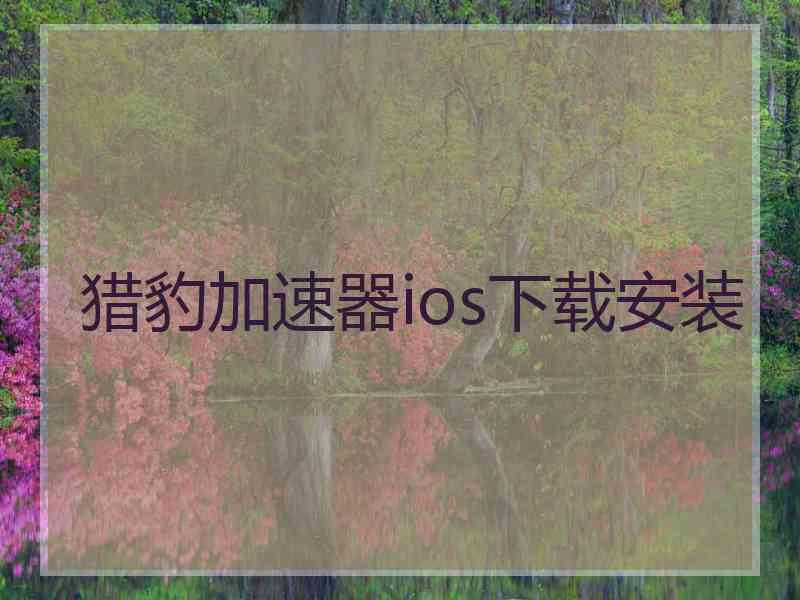 猎豹加速器ios下载安装