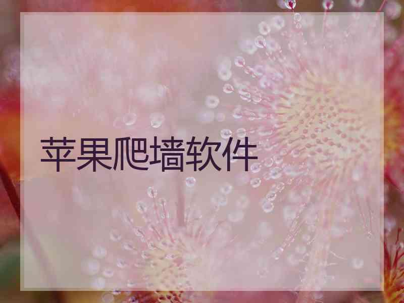 苹果爬墙软件