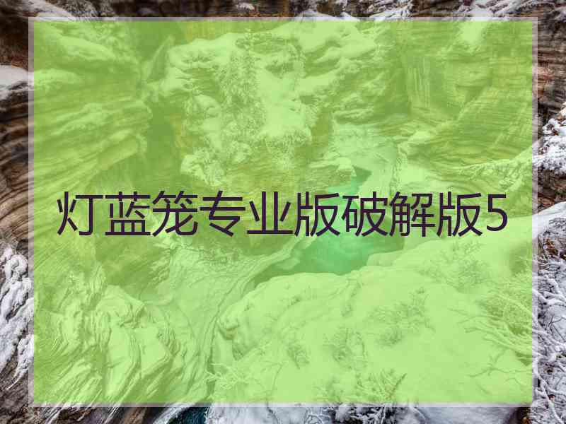 灯蓝笼专业版破解版5