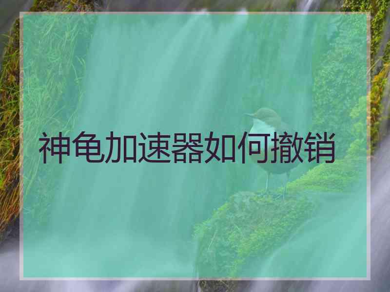 神龟加速器如何撤销