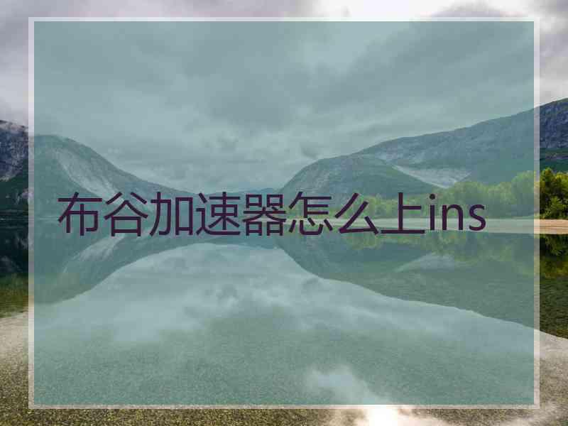 布谷加速器怎么上ins