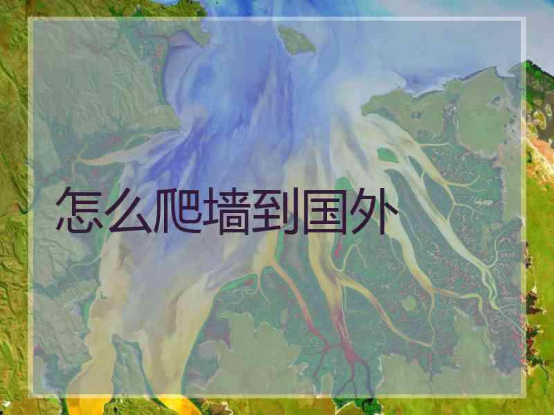怎么爬墙到国外