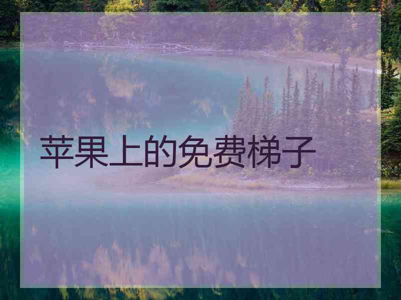 苹果上的免费梯子