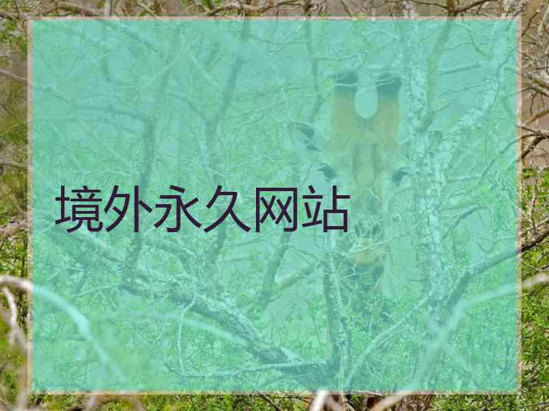 境外永久网站