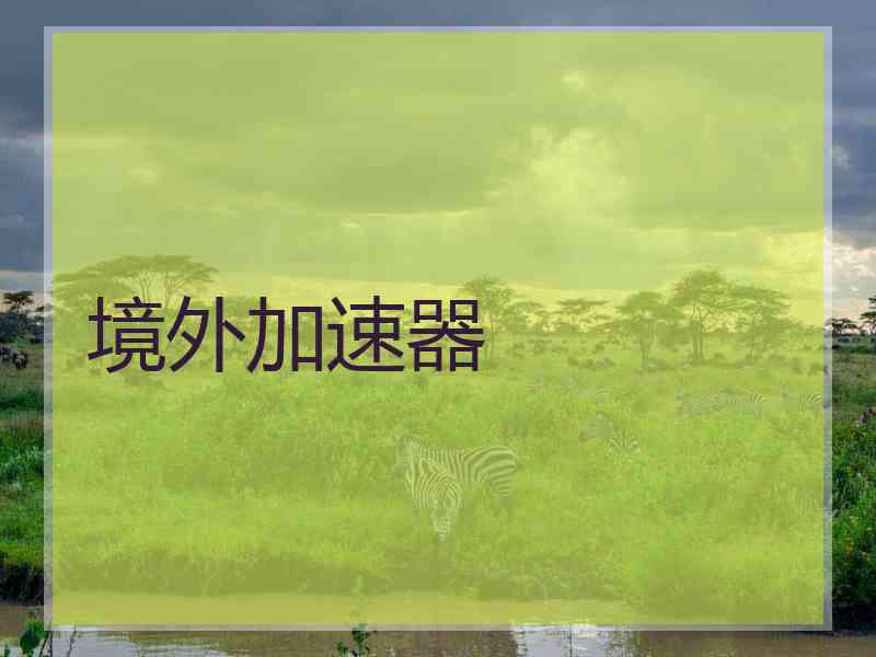 境外加速器
