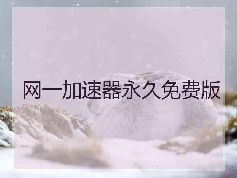 网一加速器永久免费版