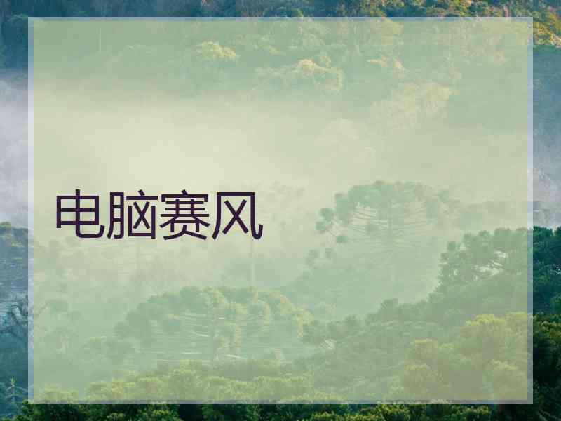 电脑赛风
