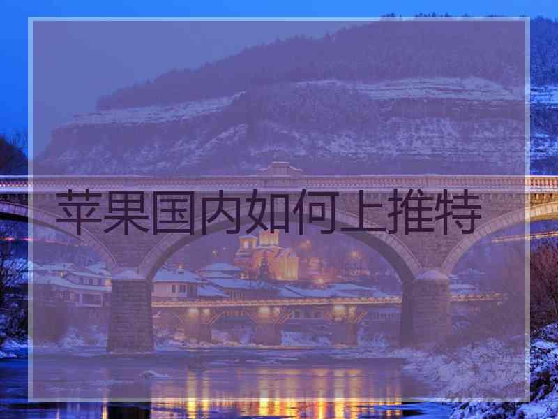 苹果国内如何上推特