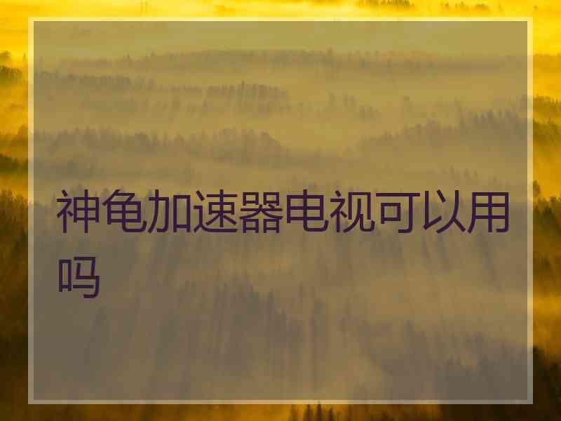 神龟加速器电视可以用吗