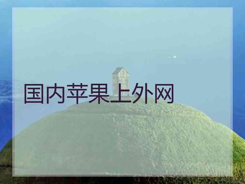 国内苹果上外网