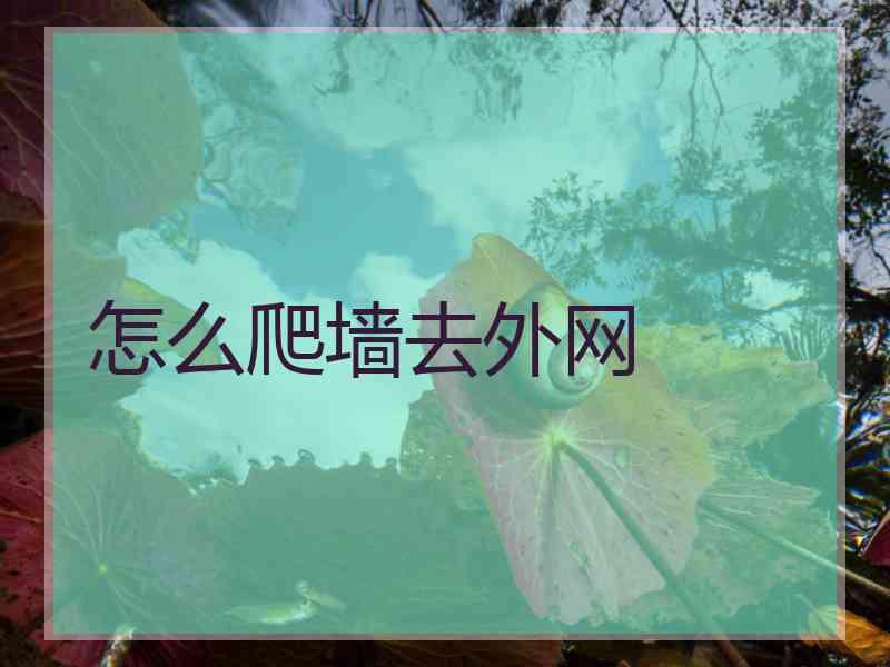 怎么爬墙去外网