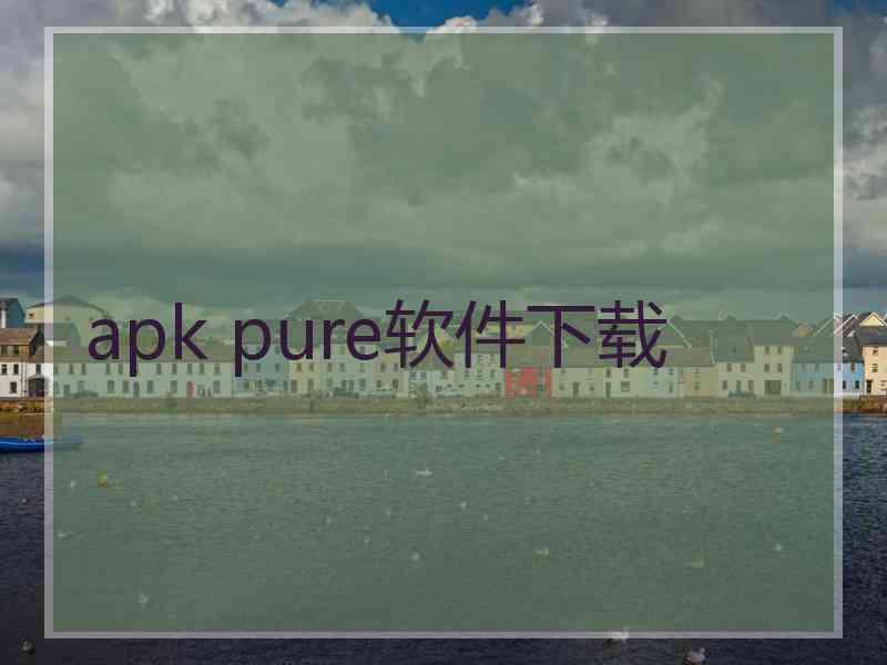 apk pure软件下载