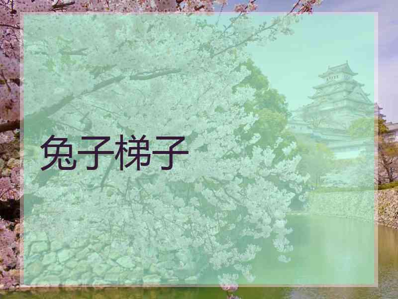 兔子梯子