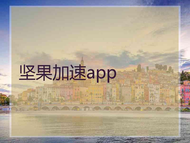 坚果加速app